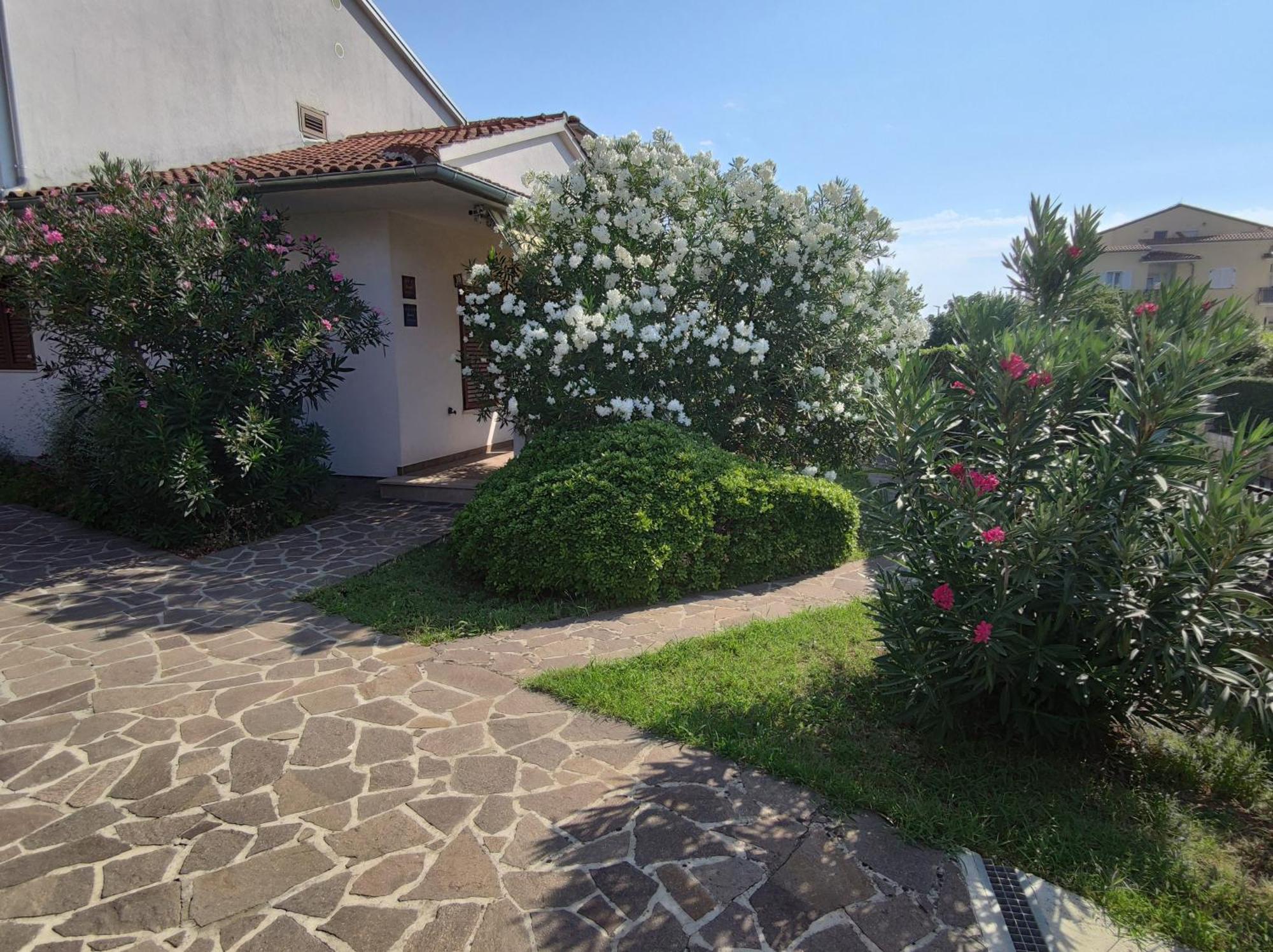 Apartament Medusa *