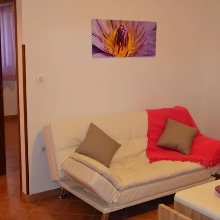 Apartments Medusa Rovinj Exterior photo