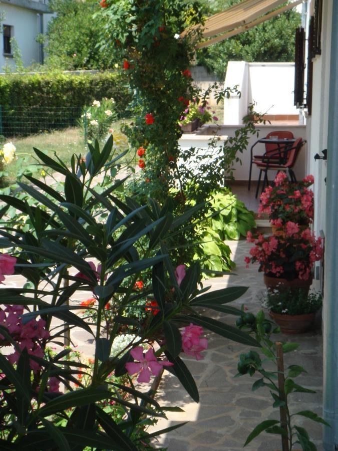 Medusa Apartment Rovinj