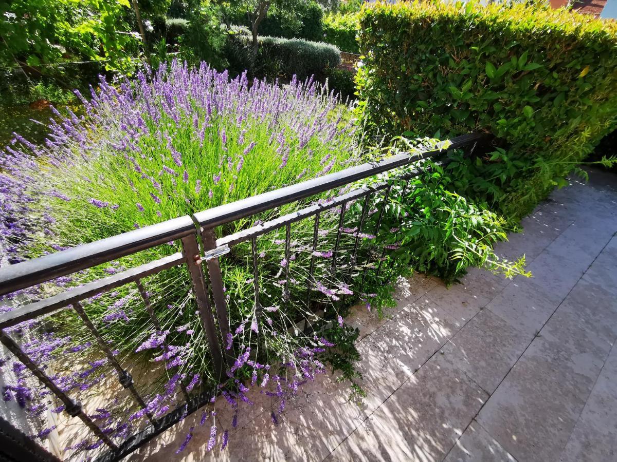 Apartament Medusa